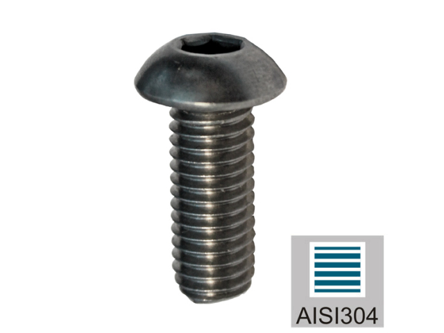 Stainless steel screw, half round head, M10x20mm